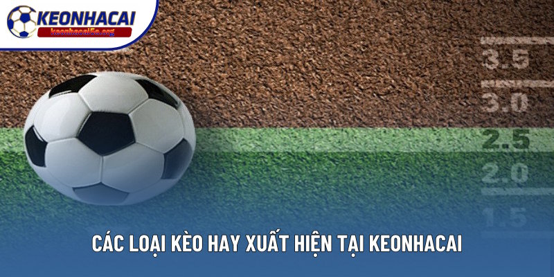 Các loại kèo thường xuất hiện tại web