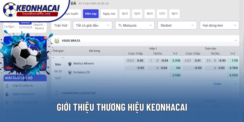 Thông tin giới thiệu website Keonhacai